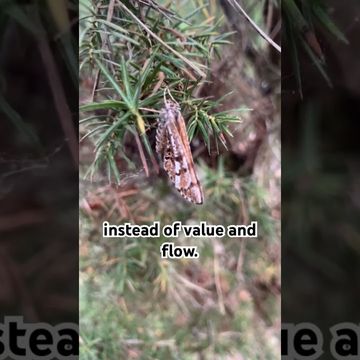 Change #focus in your #organization #scrum #agile #shorts